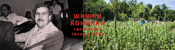 mix Богородицк