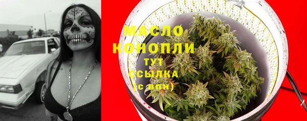 mix Богородицк